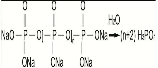 Gambar 1. Reaksi hidrolisis polifosfat (Al-Deffeeri, 2006) 
