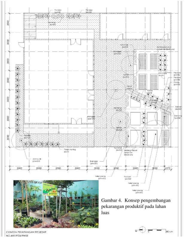 Gambar 4.  Konsep pengembangan  pekarangan produktif pada lahan  luas 
