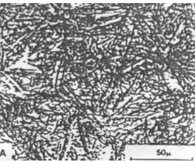 Gambar 2.12 Struktur mikro martensit(Sonawan, 2004)