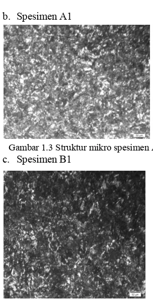 Gambar 1.3 Struktur mikro spesimen A1 