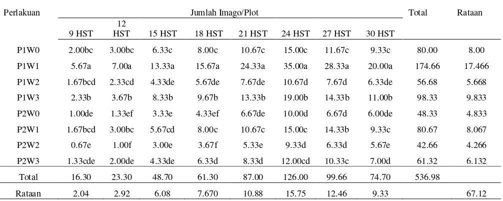 Tabel 1. Rataan Jumlah Imago B. tabaci Genn. Pada Perlakuan Beberapa Perangkap Sintetis (chery glue, minyak goreng) dan warna (transparan, merah, kuning dan hijau) Pada Pertanaman Tembakau 