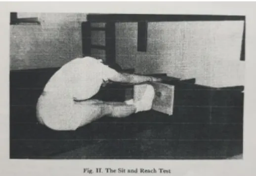 Gambar 3.5  Sit and Reach Test