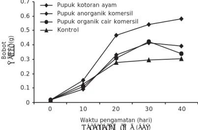 Gambar 1. Grafik rata-rata bobot benih ikan balashark