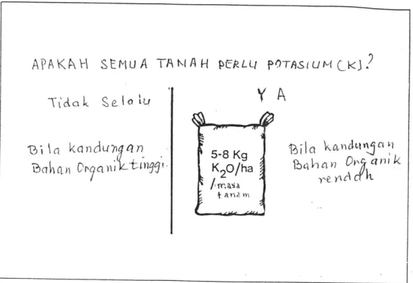 Gambar 15.  Dosis pupuk K untuk Azolla. 