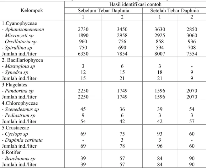 Tabel 3.5. Hasil identifikasi contoh plankton sebelum dan sesudah penebaran Daphnia carinata Kelompok Sebelum Tebar Daphnia Hasil identifikasi contoh Setelah Tebar Daphnia