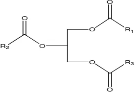 Gambar 2.2. Struktur Trigliserida  