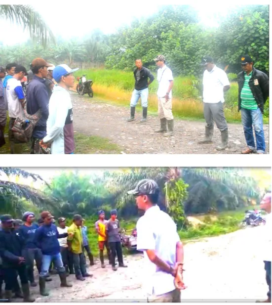 Gambar 9 Asisten melaksanakan pembagian tugas kerja di kebun PTPN II Batang  Kuis 