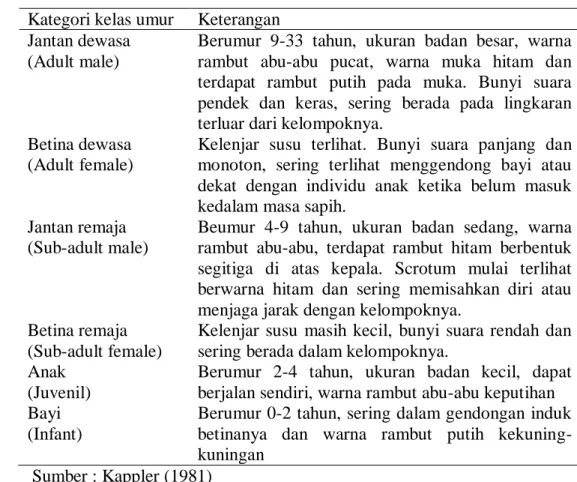 Tabel 1. Kategori tingkat umur pada kelompok Owa Jawa  Kategori kelas umur  Keterangan 