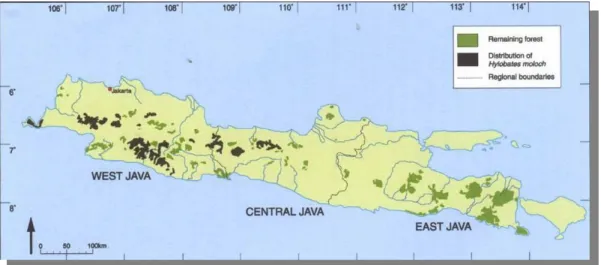 Gambar 3. Peta penyebaran Owa Jawa (Hylobates moloch) (Nijman 2001) 