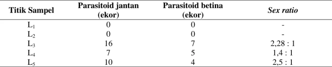 Tabel  3  menunjukkan  sex  ratio  serangga  parasitoid  berbeda-beda  pada  masing-masing  titik  sampel  pengambilan  larva  inang