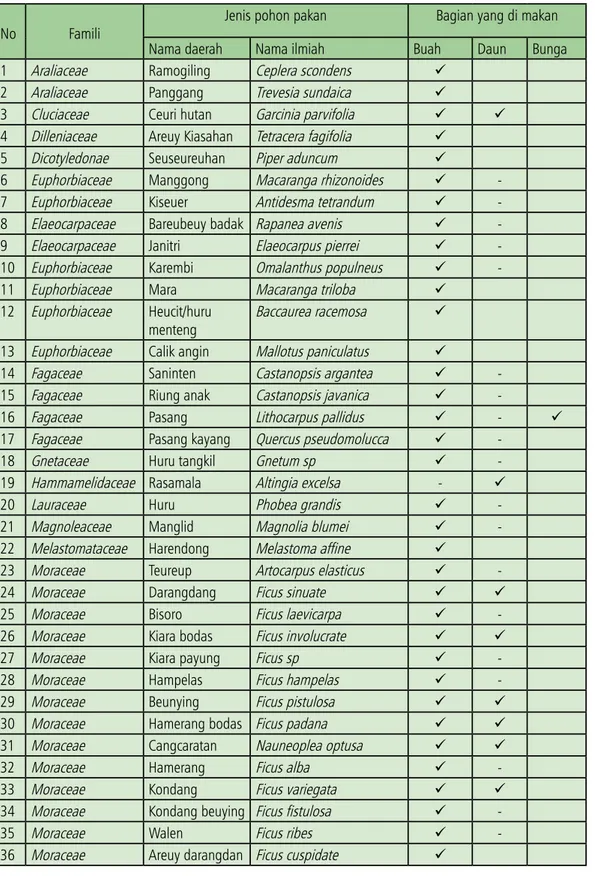 Tabel 3. Daftar jenis tumbuhan yang dimakan Owa jawa Rehabilitan di hutan Patiwel TNGGP