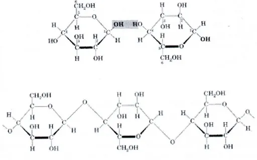 Gambar 2.1 Struktur selulosa 