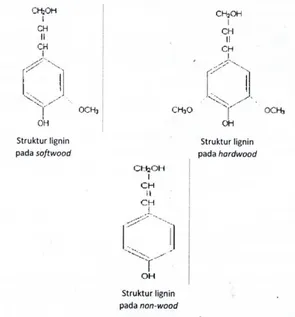 Gambar 2.5 Struktur lignin 