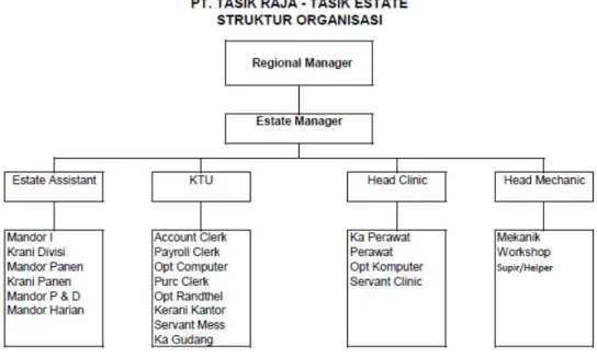 Gambar 5.1. Struktur Organisasi PT Tasik Raja, Estate