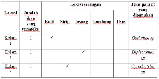 Tabel  1.2  Jenis-jenis  parasit  yang  ditemukan  pada  ikan  lele  dumbo  (Clarias  gariepinus)  yang dibudidayakan di Desa Gondosuli 