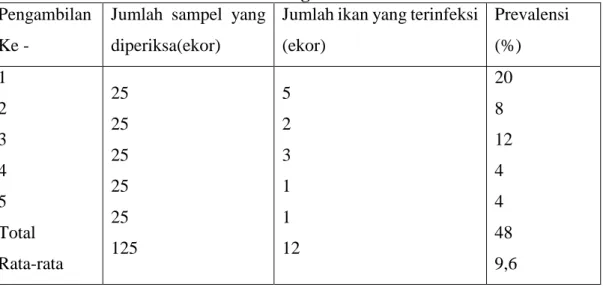 Tabel 5.1. Hasil Perhitungan Prevalensi Larva Stadium Tiga Anisakis simplex  Pada Saluran Pencernaan Ikan Kembung 