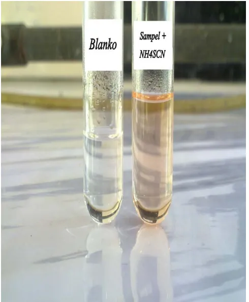 Gambar 4. Hasil Analisis Kualitatif dengan Larutan Amonium Tiosianat 