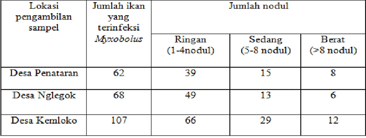 Tabel  1.  Hasil  Penghitungan  Prevalensi  Myxobolus  pada  Ikan  Koi  di  Kecamatan  Nglegok,  Kabupaten  Blitar 