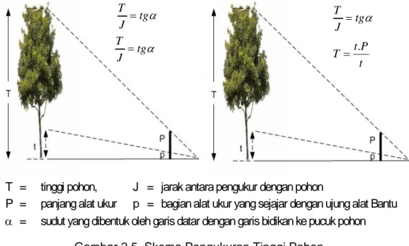 MODUL PEMBELAJARAN INVENTARISASI HUTAN