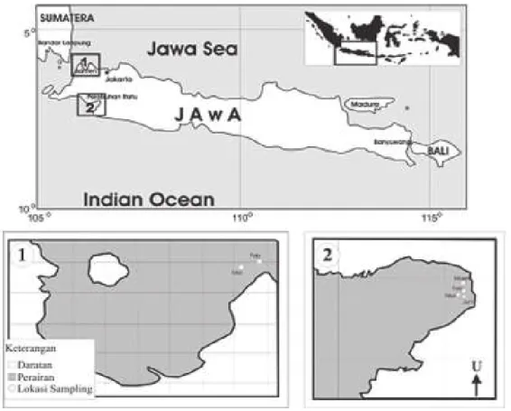 Gambar 1. Lokasi sampling yaitu: 1) Teluk Banten (Provinsi Banten) dan 2) Pelabuhan Ratu (Provinsi Jawa Barat)