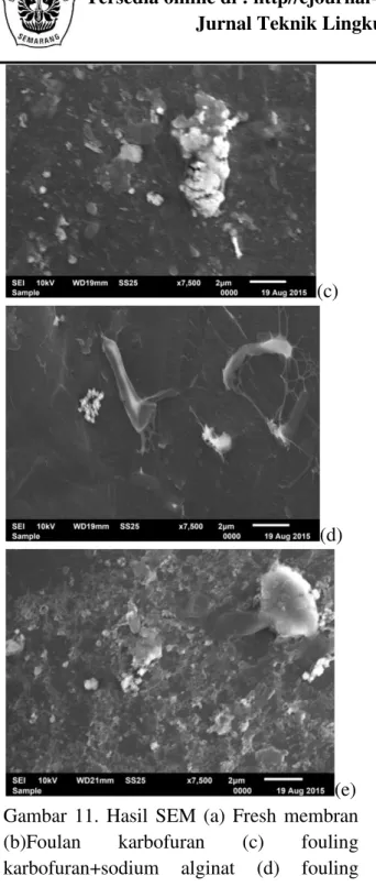 Gambar  11  merupakan  hasil  SEM  pada  membran.  Pada  gambar  11  (a)  membran  NF270  belum  digunakan  untuk  filtrasi