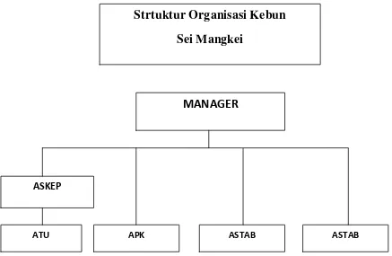 Gambar 2. Struktur Organisasi PTPN III Sei Mankei 