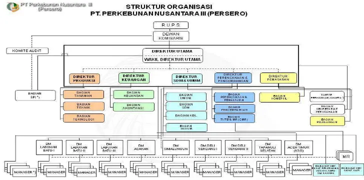 Gambar 1. Struktur Organisasi PTPN  III Pusat 