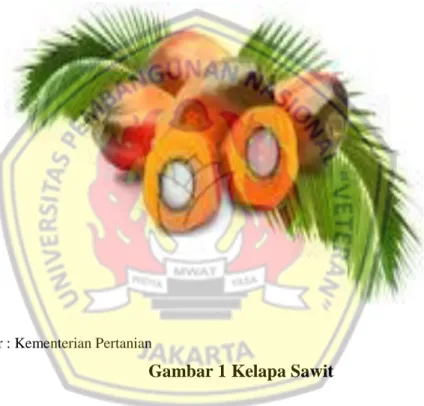 Gambar 1 Kelapa Sawit 