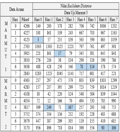 Tabel 4 Pengujian Marmut ketiga dengan metode euclidean distance 
