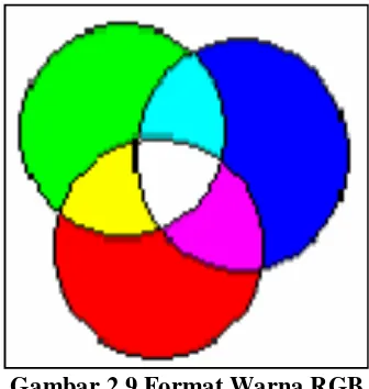 Gambar 2.9 Format Warna RGB 