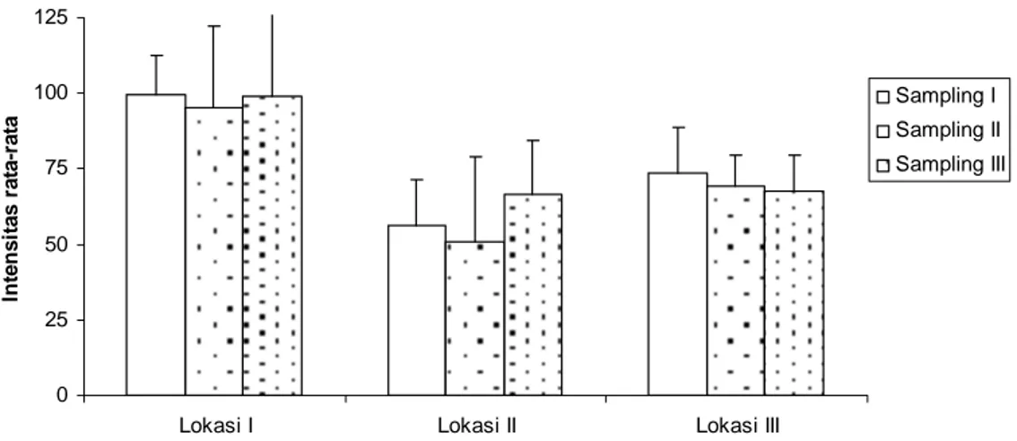 Gambar 3. Histogram Intensitas rata-rata infeksi parasit Thaparocleidus sp pada tiga lokasi  sampling ikan patin