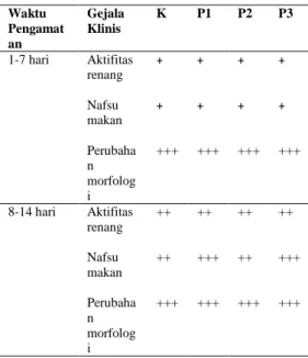 Tabel 2.  Gejala  klinis ikan kerapu macan  yang  beri  bakteri  asam  laktat  dengan  dosis  yang  berbeda  selama  14 hari pemeliharaan
