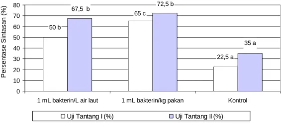 Gambar 4.  Sintasan  (%)  benih  ikan  kerapu  bebek,  Cromileptes  altivelis  dengan  pemberian  bakterin  setelah  uji  tantang  pada  hari  ke  30  dan  60  dengan  VNN  selama  7  hari  pengamatan