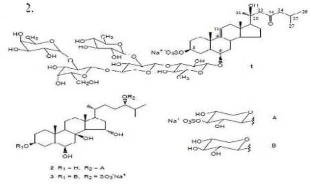 Gambar 8. Struktur kimia dari steroidal glikosid
