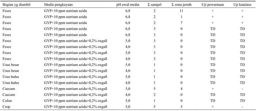 Tabel 2. Hasil isolasi dan identifikasi awal Lactobacillus 