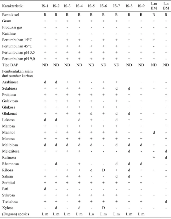 Tabel 3. Hasil identifikasi spesies Lactobacillus 