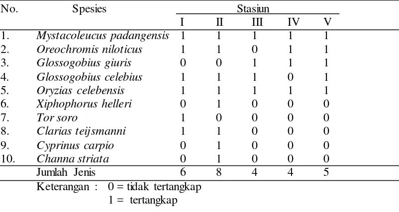 Tabel 4. Jenis-jenis ikan yang tertangkap di Sungai Naborsahan Kecamatan               Ajibata, Kabupaten Toba Samosir