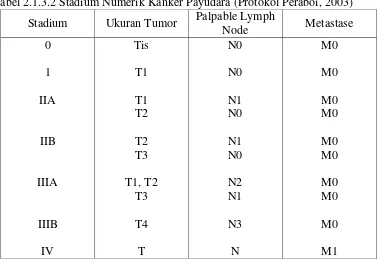 Tabel 2.1.3.2 Stadium Numerik Kanker Payudara (Protokol Peraboi, 2003) 