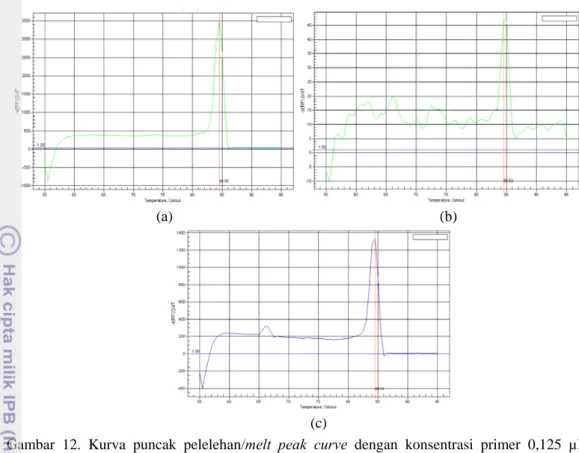 Gambar 12. Kurva puncak pelelehan/melt peak curve dengan konsentrasi primer 0,125 µM.        (a) Sampel kultur murni Salmonella  Typhimurium, (b) sampel 10 3  sel/ml 