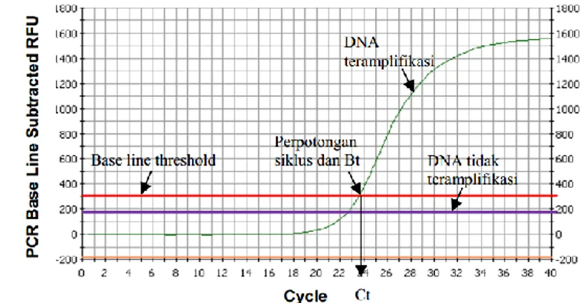 Grafik  amplifikasi  menunjukkan  ada  tidaknya  DNA  target  dengan  terbentuknya  kurva  sigmoidal  (Gambar  2)