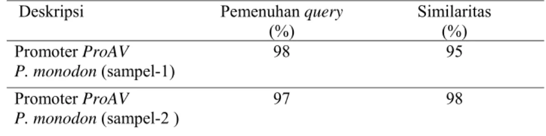 Tabel 1 Similaritas sekuen promoter ProAV yang diisolasi dari udang windu P.  monodon dengan sekuen total gen antivirus PmAV pada Bank Gen (kode  aksesi DQ641258-1)
