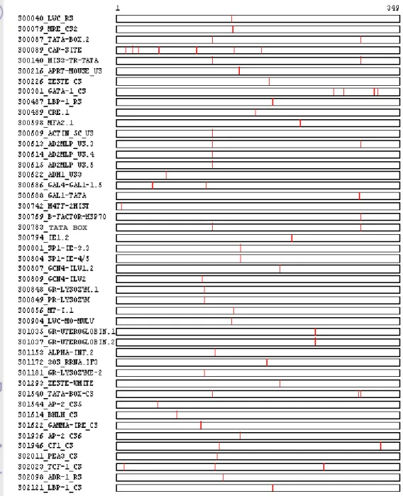 Gambar 4 Distribusi motif faktor transkripsi pada sekuen promoter antivirus  ProAV yang diisolasi dari udang windu P