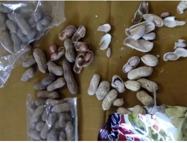Gambar 2 : Perbandingan Produk Kacang 