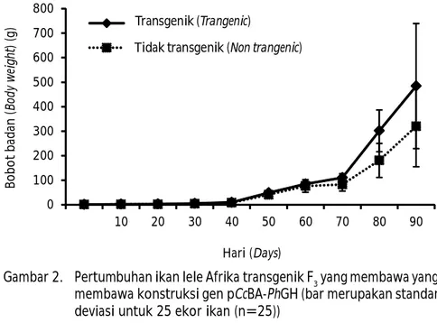 Figure 2 Growth of African catfish transgeni F 3  containing pCcBA-PhGH gene constracted