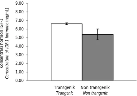 Gambar 4. Analisis kuantitatif hormon insulin-like growth factor 1 (IGF-I) pada serum ikan lele Afrika  transgenik dan non-transgenik