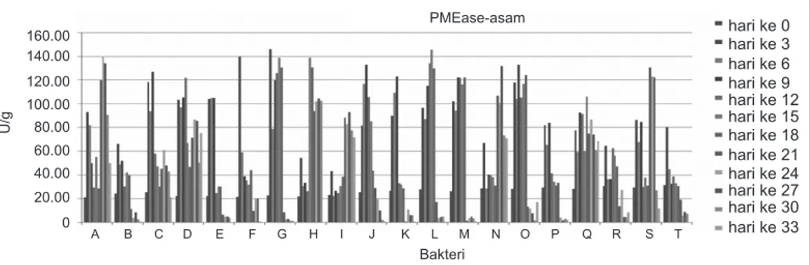 Gambar 5. Grafik aktivitas PMEase-asam selama inkubasi dari 0 hari (H0) sampai 33 hari  (H33) pada 20 jenis mikroba pelarut fosfat