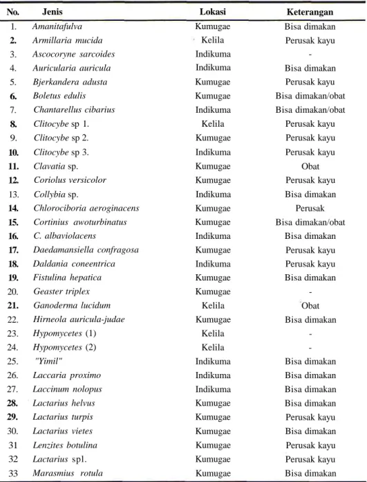 Tabel 1. Hasil eksplorasi biodiversitas Basidiomycetes di daerah Wamena dan Sekitamya