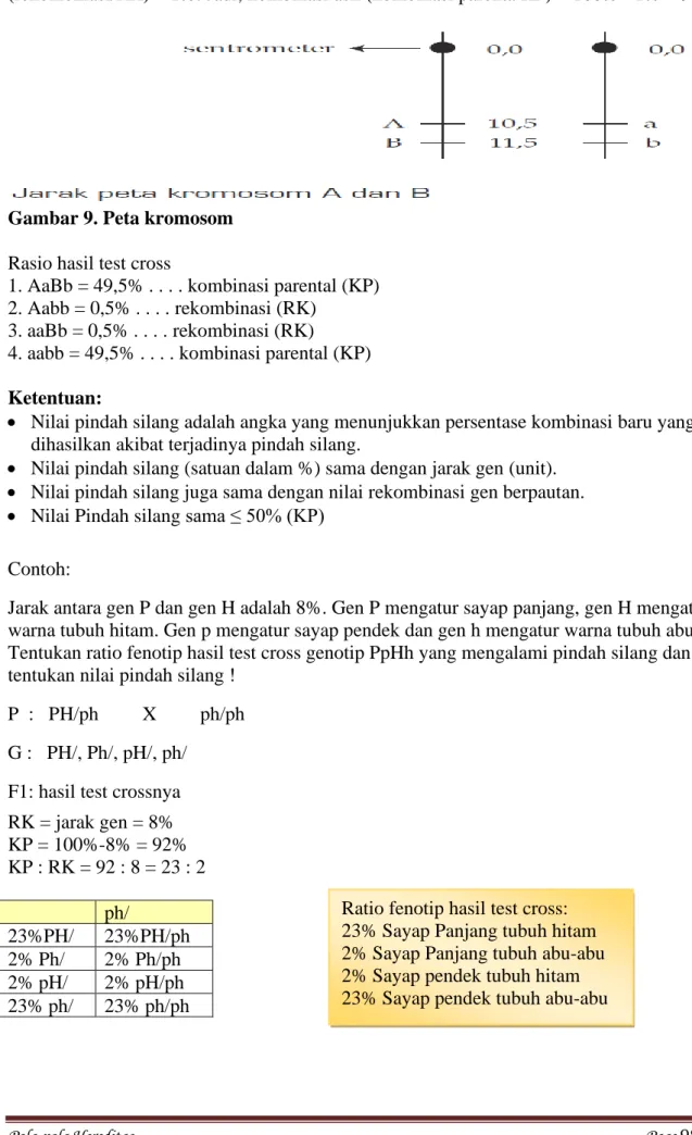 Gambar 9. Peta kromosom 