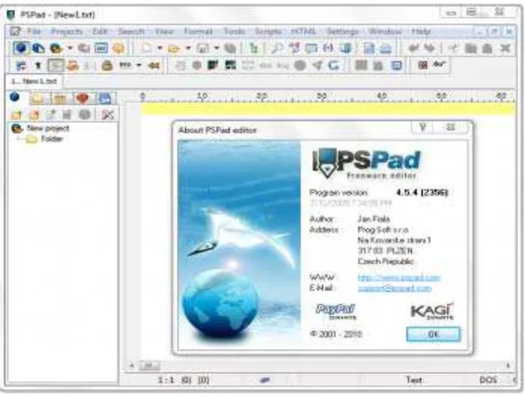 Gambar 2.2 Tampilan PSPad Editor 