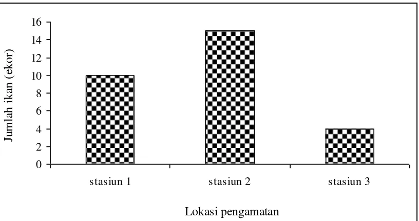 Tabel 3. Hubungan panjang dan bobot ikan Baung (Mystus nemurus) 